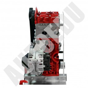 Benzininio DOHC variklio ½ modelio pjūvis IVDB01 AutoEDU