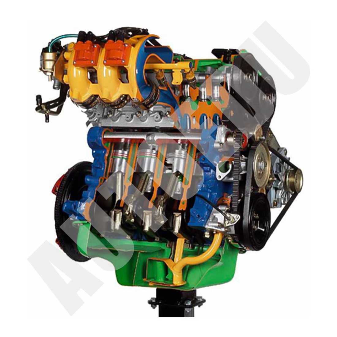 16 VOŽTUVŲ 4 CILINDRŲFIAT variklio modelio pjūvissu daugiataškiu įpurškimu ir elektrine pavara AE34800E AutoEDU