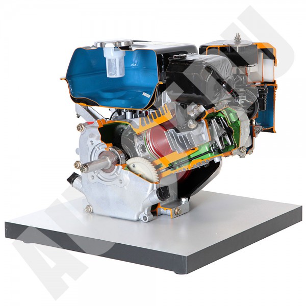 Vieno cilindro 4 taktų benzininio variklio aušinimo oru modelio pjūvis AE35245M AutoEDU